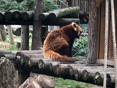 -宁波野生动物园
