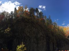 -望天鹅景区