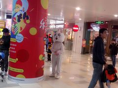 -鹏欣水游城