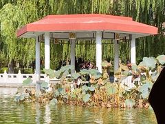 -丰台花园