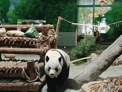 -灵玲国际马戏城