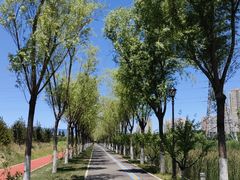 -永定河休闲森林公园