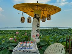 -七的湖·晚芳亭·阳澄湖农家菜·大闸蟹(莲花岛店)