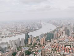 -The lounge 柏悦酒店大堂酒廊(上海环球金融中心店)