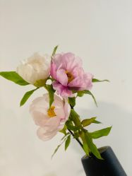 点击看大图 -盘子女人坊古装写真摄影(南京总店)