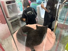 -FAELING PETS美天灵宠物(合生汇店)
