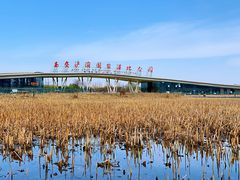 -西安浐灞国家湿地公园