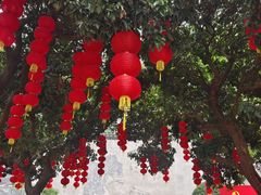 -广州神农草堂中医药博物馆