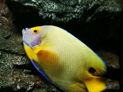 -大连圣亚海洋世界