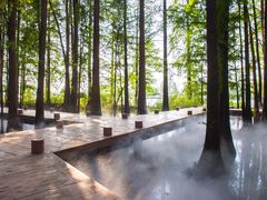 -东湖落雁景区