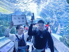-海合安成都极地海洋公园