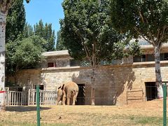 -石家庄市动物园