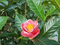 -云溪植物园