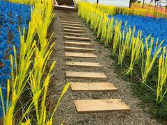 -紫颐香薰山谷景区