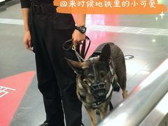 -比格比萨自助(万柳华联店)