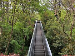 -天目湖山水园