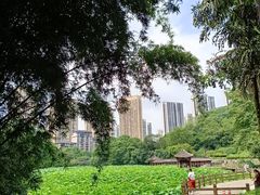 -龙头寺公园