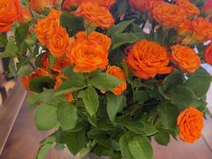 -香山湖渔家大院