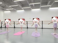 -中央芭蕾舞团·中芭艺蕾(酒仙桥明星校区)