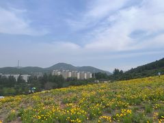 -佛慧山