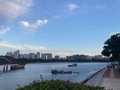 -五缘湾湿地公园