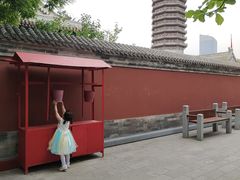 -西海子公园