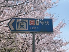 -杨高南路(地铁站)