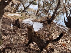-终南山南五台景区