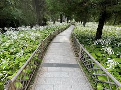 -森林公园(尖草坪区)