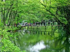 -西溪南古村落景区