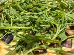 -榖屋house of flour(张江首店)