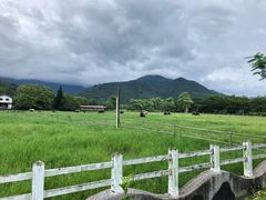 -瑞穗牧场