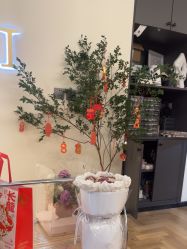 -YCai简薇美甲美睫美妆