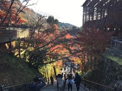 -有栖山 清光院 清水寺
