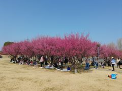 -长广溪湿地公园