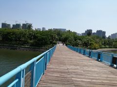 -五缘湾湿地公园