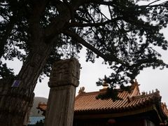 -五台山风景区