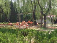 -石家庄市动物园