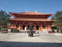 -三水森林公园