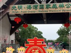 -上海海湾国家森林公园