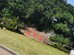 -万绿园