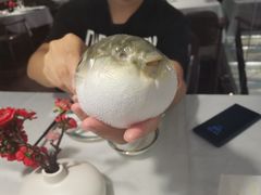-肆月河豚·新淮扬(金融街店)