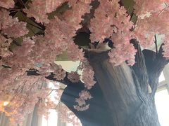 -猫猫幼稚园·撸猫·桌游·电玩