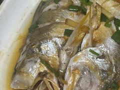 清蒸章跳鱼-红灯笼龙凤饭店(宁波老字号店)