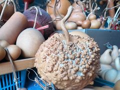 -中环花鸟鱼虫市场