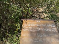 -涂山风景区