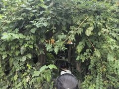 -斯多格书乡(北京大学畅春园店)