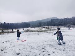-武陵山森林公园