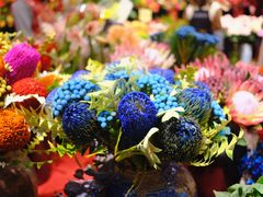 -双季花艺园艺市场(浦东店)