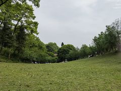 -南山植物园